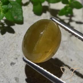 Oeil de chat Apatite Jaune terreux naturelle ovale, 3.87 ct, Translucide