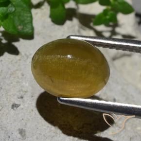Oeil de chat Apatite Jaune terreux naturelle ovale, 3.87 ct, Translucide