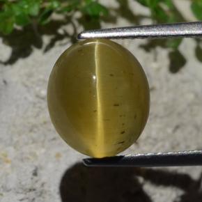 Apatite œil de chat Vert Doré naturelle Coupe ovale, 4,46 ct, Translucide