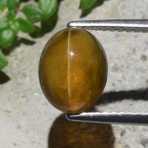 Cat's eye apatite vert naturelle coupe ovale, 2,93 ct, translucide