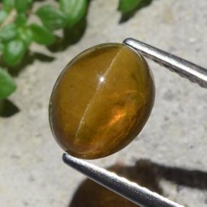 Cat's eye apatite vert naturelle coupe ovale, 2,93 ct, translucide