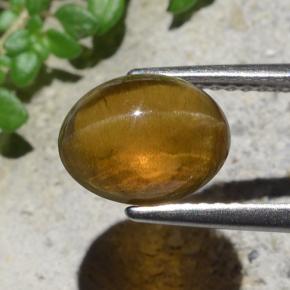 Cat's eye apatite vert naturelle coupe ovale, 2,93 ct, translucide