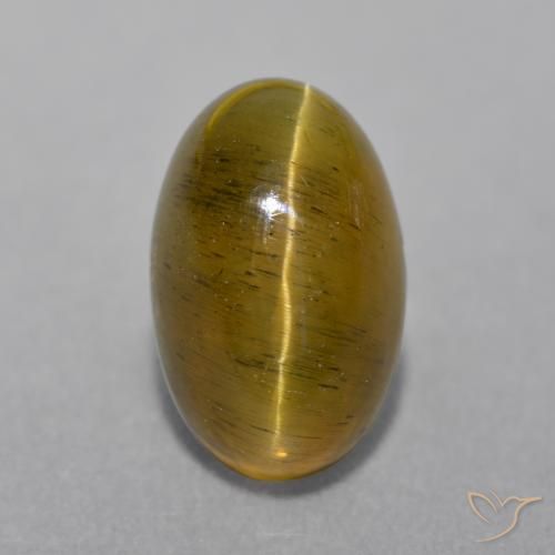 Apatite œil de chat Marron chaud naturelle Coupe ovale, 4,78 ct, Translucide