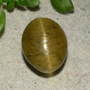 Oeil de chat Apatite Jaune marron naturelle ovale, 4.09 ct, Translucide