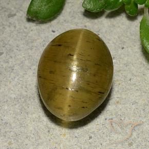 Oeil de chat Apatite Jaune marron naturelle ovale, 4.09 ct, Translucide