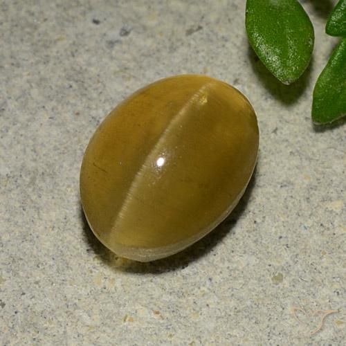 3.14ct Naturel Jaune marron Oeil de chat Apatite, ovale, Translucide