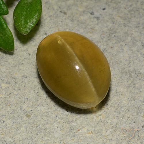 Oeil de chat Apatite Jaune marron naturelle ovale, 3.14 ct, Translucide