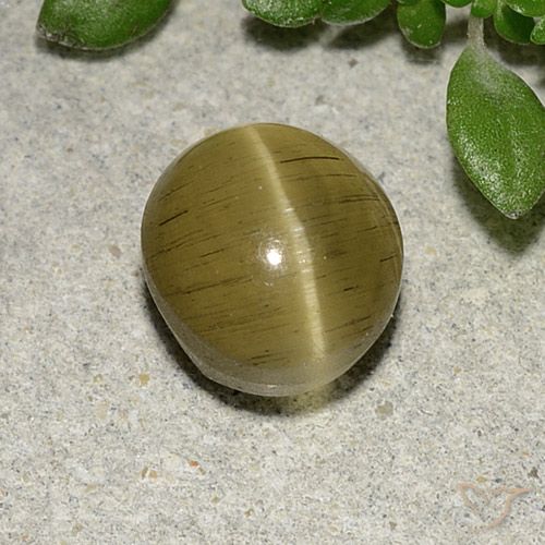 2.70ct Naturel Jaune moyen Oeil de chat Apatite, ovale, Translucide