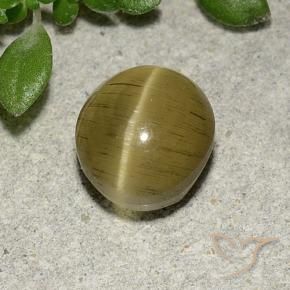 Oeil de chat Apatite Jaune moyen naturelle ovale, 2.70 ct, Translucide