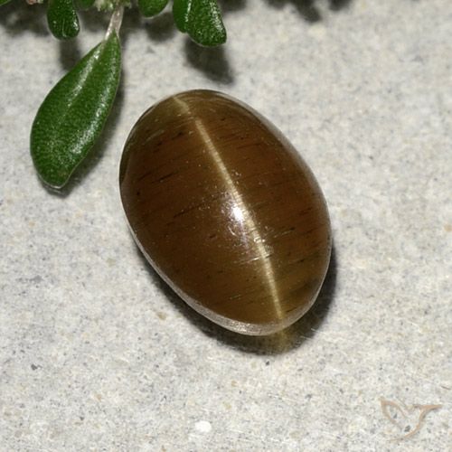 Oeil de chat Apatite Marron chaud naturelle Coupe ovale, 2.64 ct, Translucide