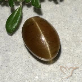 Oeil de chat Apatite Marron chaud naturelle Coupe ovale, 2.64 ct, Translucide