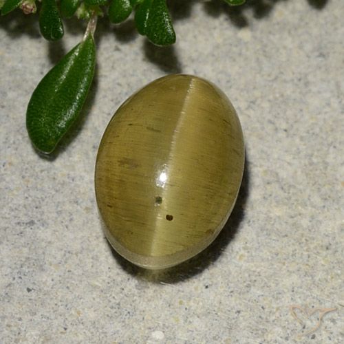 2.88ct Naturel Jaune brunâtre Oeil de chat Apatite, ovale, Translucide