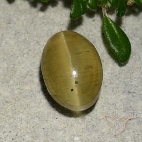 Oeil de chat Apatite Jaune brunâtre naturelle ovale, 2.88 ct, Translucide
