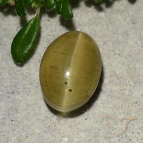 Oeil de chat Apatite Jaune brunâtre naturelle ovale, 2.88 ct, Translucide