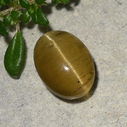 2.46ct Naturel Jaune brunâtre Oeil de chat Apatite, ovale, Translucide