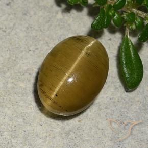 Oeil de chat Apatite Jaune brunâtre naturelle ovale, 2.46 ct, Translucide