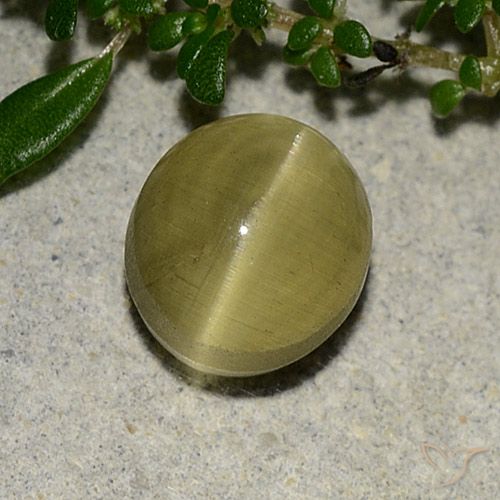 3.09ct Naturel Jaune terreux Oeil de chat Apatite, ovale, Translucide