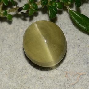 Oeil de chat Apatite Jaune terreux naturelle ovale, 3.09 ct, Translucide