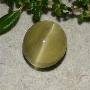 Oeil de chat Apatite Jaune terreux naturelle ovale, 3.09 ct, Translucide