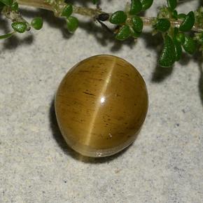 Cat's eye apatite doré naturelle coupe ovale, 2,60 ct, translucide