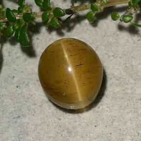 Cat's eye apatite doré naturelle coupe ovale, 2,60 ct, translucide