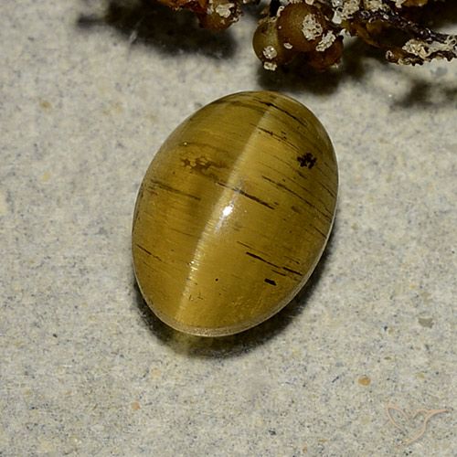 2.63ct Naturel Jaune terreux Oeil de chat Apatite, ovale, Translucide