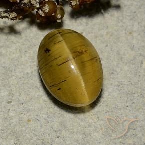Oeil de chat Apatite Jaune terreux naturelle ovale, 2.63 ct, Translucide