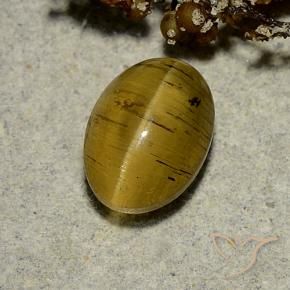 Oeil de chat Apatite Jaune terreux naturelle ovale, 2.63 ct, Translucide