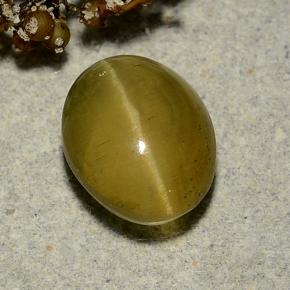 Oeil de chat Apatite Vert Doré naturelle Coupe ovale, 3.72 ct, Translucide