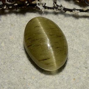 Cat's eye apatite vert naturelle coupe ovale, 3,32 ct, translucide