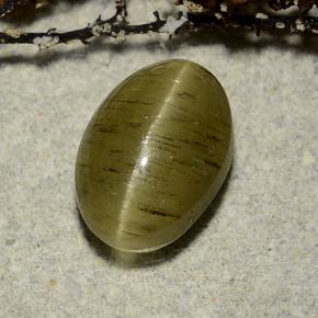Cat's eye apatite vert naturelle coupe ovale, 3,32 ct, translucide