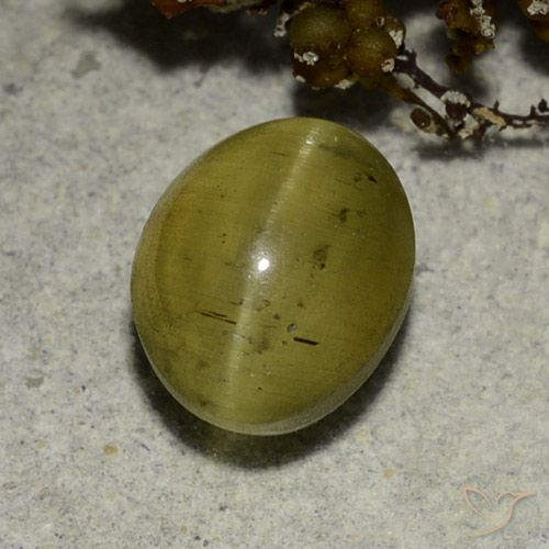 3.68ct Naturel Jaune neutre Oeil de chat Apatite, ovale, Translucide