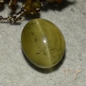Oeil de chat Apatite Jaune neutre naturelle ovale, 3.68 ct, Translucide