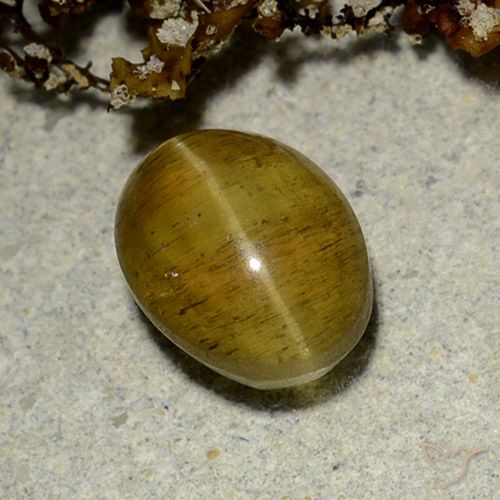 2.50ct Naturel Jaune marron Oeil de chat Apatite, ovale, Translucide