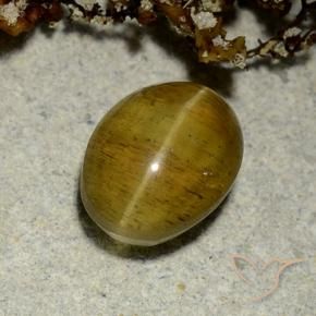 Oeil de chat Apatite Jaune marron naturelle ovale, 2.50 ct, Translucide