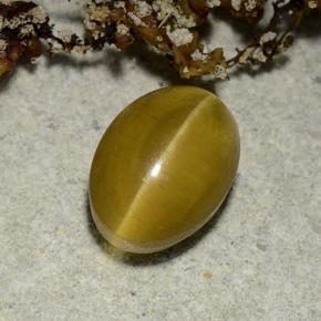 Oeil de chat Apatite Doré naturelle Coupe ovale, 2.40 ct, Translucide