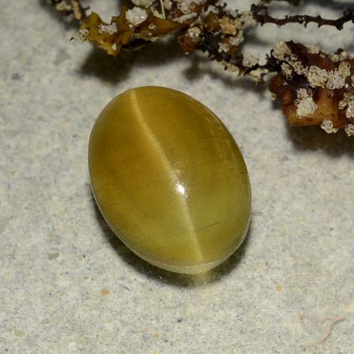 Cat's eye apatite jaune naturelle coupe ovale, 2,68 ct, translucide