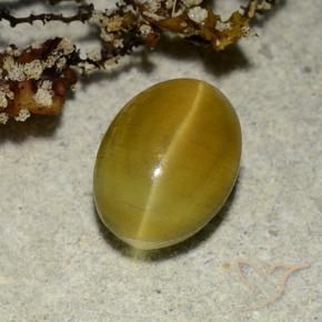Cat's eye apatite jaune naturelle coupe ovale, 2,68 ct, translucide
