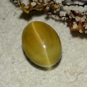 Cat's eye apatite jaune naturelle coupe ovale, 2,68 ct, translucide