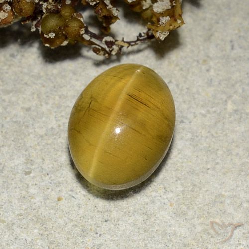 2.82ct Naturel Jaune marron Oeil de chat Apatite, ovale, Translucide
