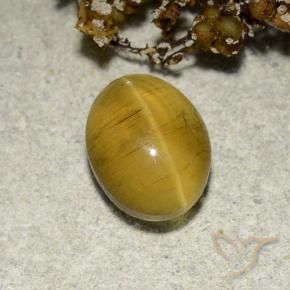 Oeil de chat Apatite Jaune marron naturelle ovale, 2.82 ct, Translucide