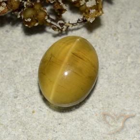 Oeil de chat Apatite Jaune marron naturelle ovale, 2.82 ct, Translucide