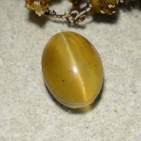 Cat's eye apatite jaune naturelle coupe ovale, 2,57 ct, translucide