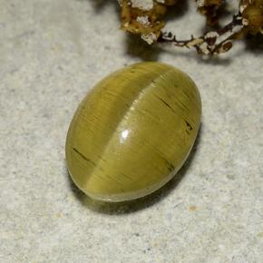 Cat's eye apatite doré naturelle coupe ovale, 2,83 ct, translucide