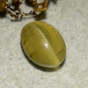 Cat's eye apatite doré naturelle coupe ovale, 2,83 ct, translucide