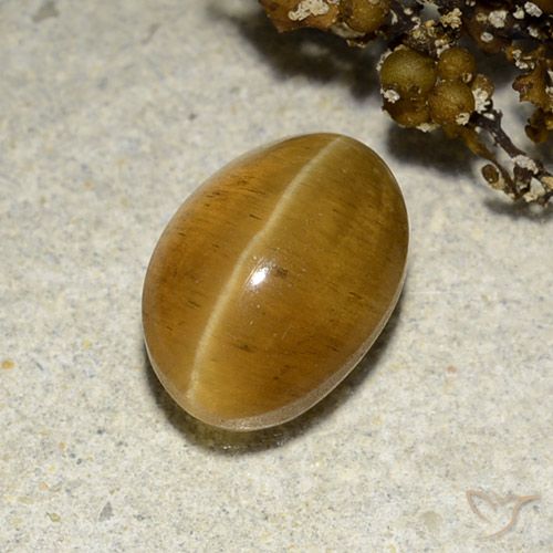 3.48ct Naturel Brun doré Oeil de chat Apatite, ovale, Translucide