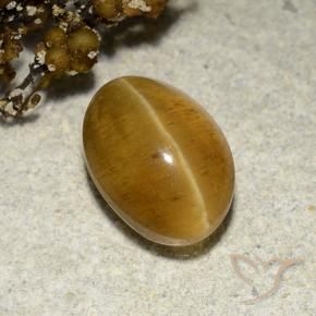 Oeil de chat Apatite Brun doré naturelle ovale, 3.48 ct, Translucide