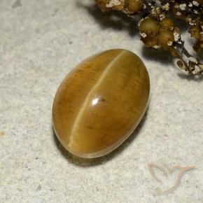 Oeil de chat Apatite Brun doré naturelle ovale, 3.48 ct, Translucide