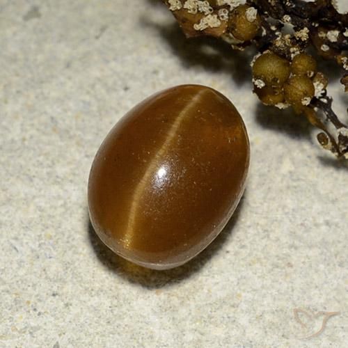 3.12ct Naturel Marron chaud Oeil de chat Apatite, ovale, Translucide