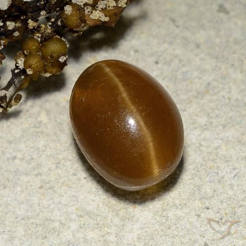 Oeil de chat Apatite Marron chaud naturelle ovale, 3.12 ct, Translucide